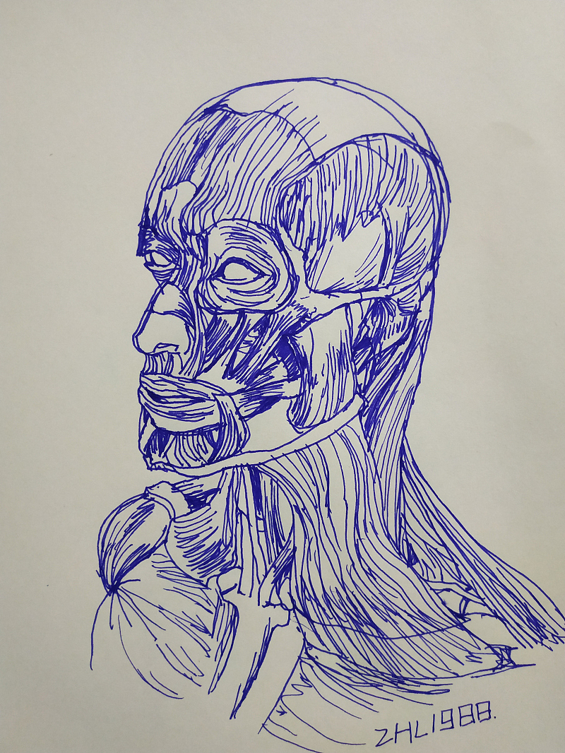 每日一画-04（2019年的作品）（图ZMjA4MjE4NTYw） - 绘画 - 站酷设计师zhl1988原创素材 - 站酷ZCOOL