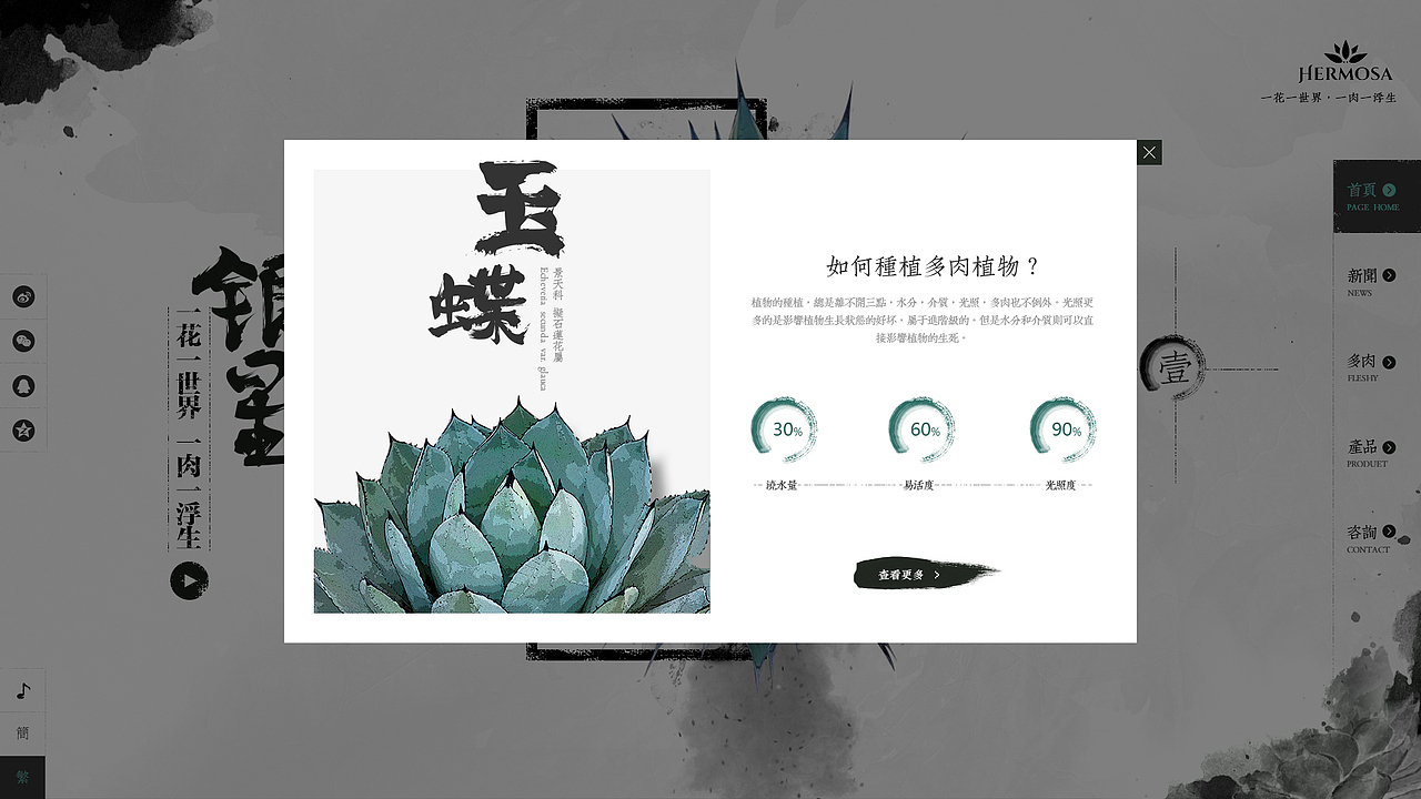 多肉web（圖ZNjYzOTE3MTI=） - 企業(yè)官網(wǎng) - 站酷設(shè)計(jì)師喵嗚lo原創(chuàng)素材 - 站酷ZCOOL