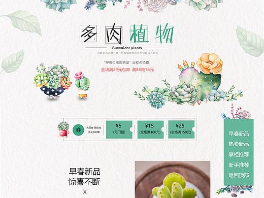 多肉植物專題頁（個人主頁-ZMzk1MTgyNDg=） - 電商 - 站酷設(shè)計師NIEWENHUIII原創(chuàng)素材 - 站酷ZCOOL