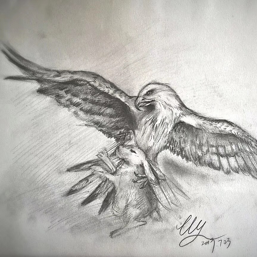 eagle[得意][得意] 高于空，飞与云，行于原，食于物（图ZMTc0MzQ5NTIw） - 创作习作 - 站酷设计师御龙绘原创素材 - 站酷ZCOOL