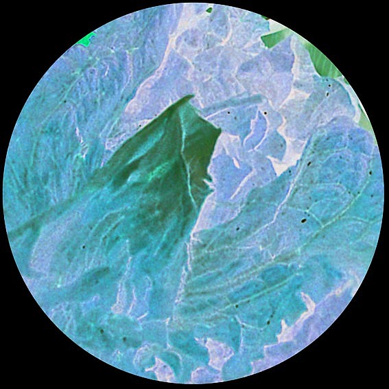 【摄影】那些食用的－无用（图ZNTkwNDE2OA==） - 其他摄影 - 站酷设计师naza原创素材 - 站酷ZCOOL