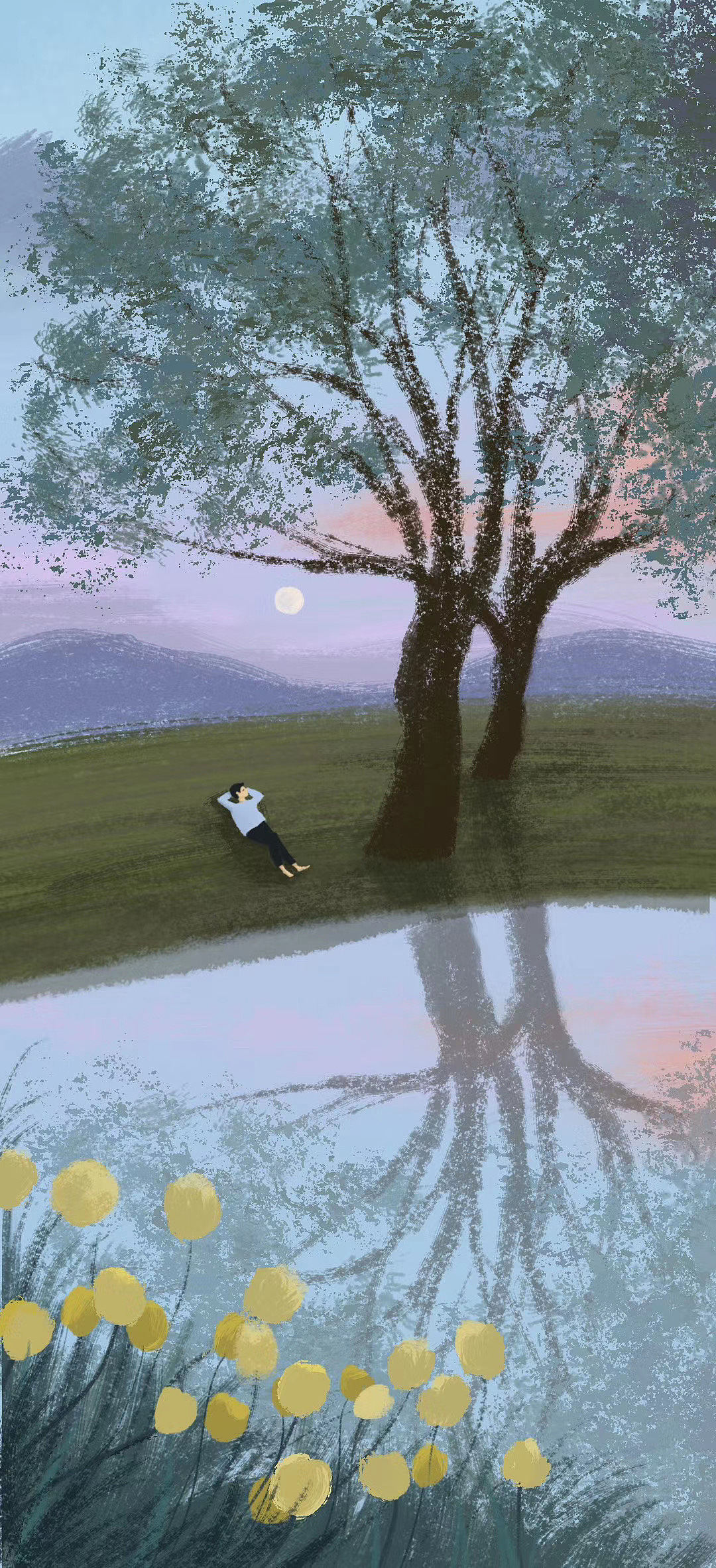 再别康桥系列|插画|商业插画|peach酱_原创作品-站酷zcool