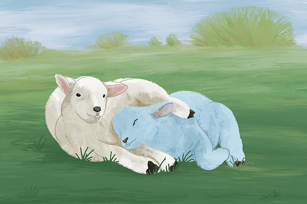 羊咩咩｜练习作（图ZMzE3ODc5NjEy） - 创作习作 - 站酷设计师艮音原创素材 - 站酷ZCOOL