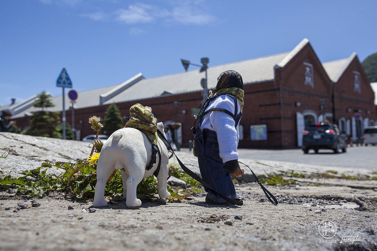 z小庞与詹姆斯北海道之旅