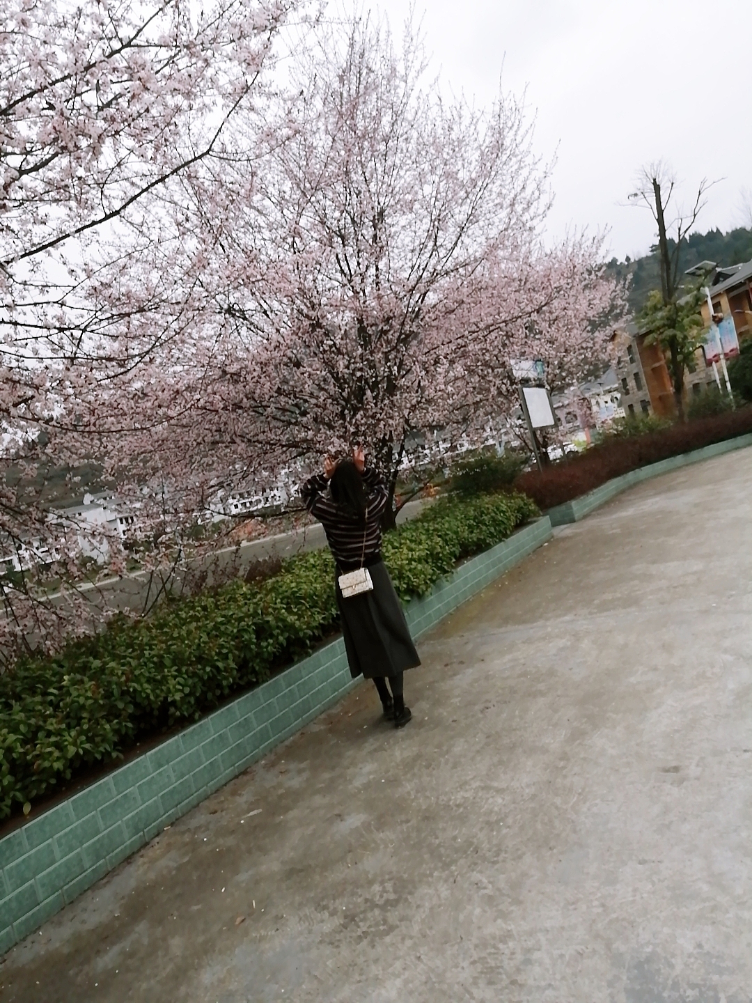 流年浮生（圖ZMjA0Mzk4ODcy） - 環(huán)境/建筑攝影 - 站酷設(shè)計(jì)師A玖熙原創(chuàng)素材 - 站酷ZCOOL