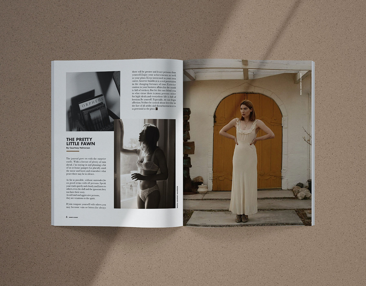 Fawn's Closet 杂志排版设计(概念)