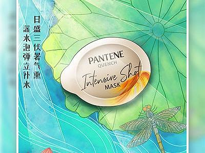 24节气商业插画