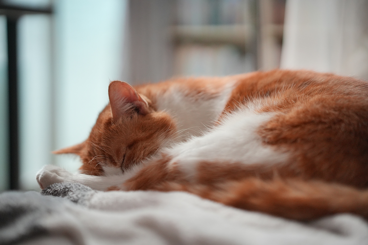 2021-2023丨年度摄影总结（图ZMzU4ODkxOTcy） - 其他摄影 - 站酷设计师陈子奕原创素材 - 站酷ZCOOL