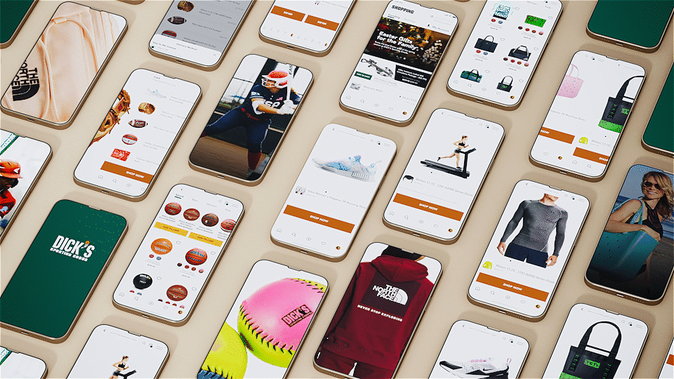 Dicks Sporting Goods - 电商购物风动态练习