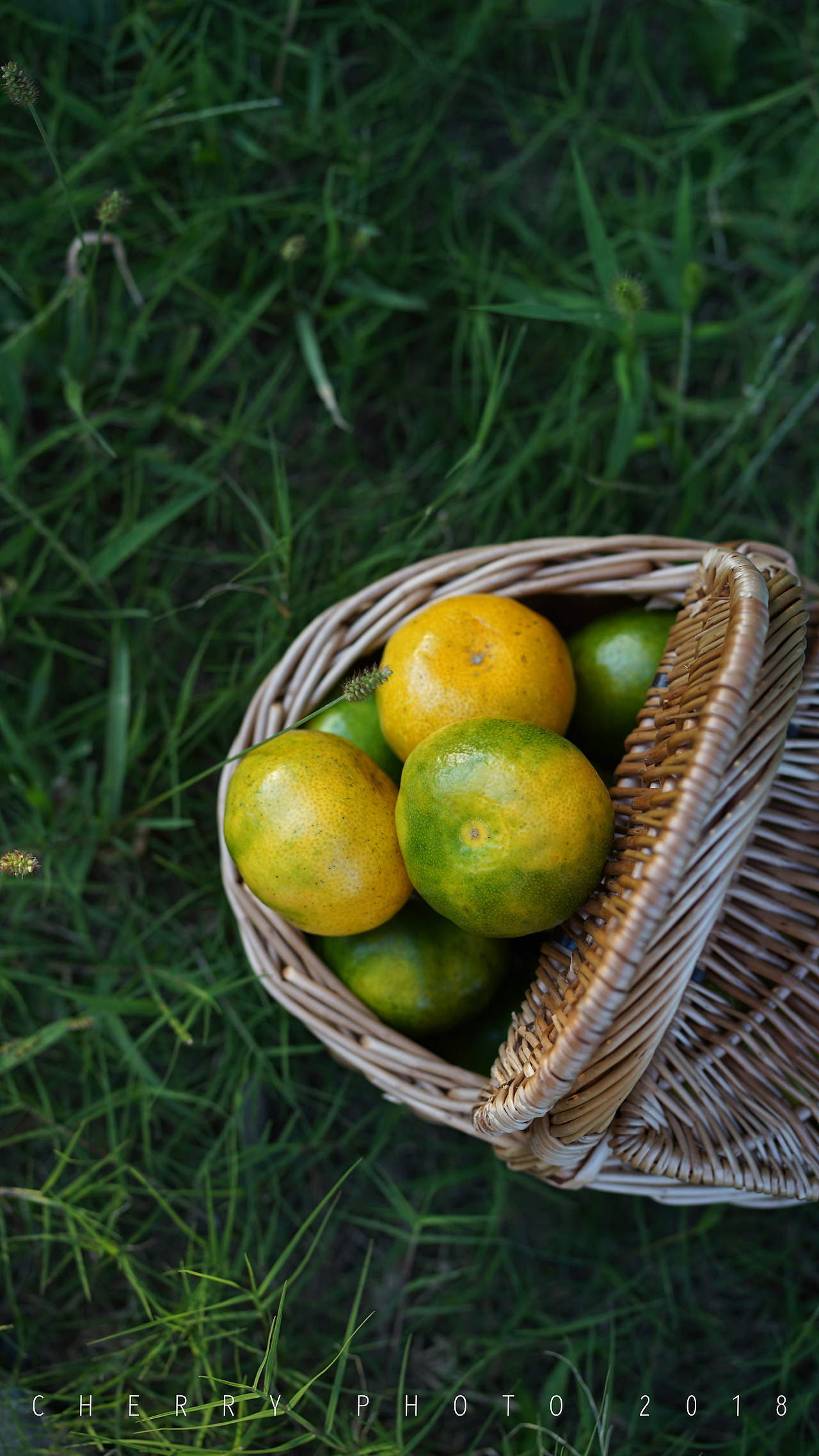 秋日，不负阳光（图ZMTMxMDkyNjEy） - 产品摄影 - 站酷设计师车厘子姑娘原创素材 - 站酷ZCOOL