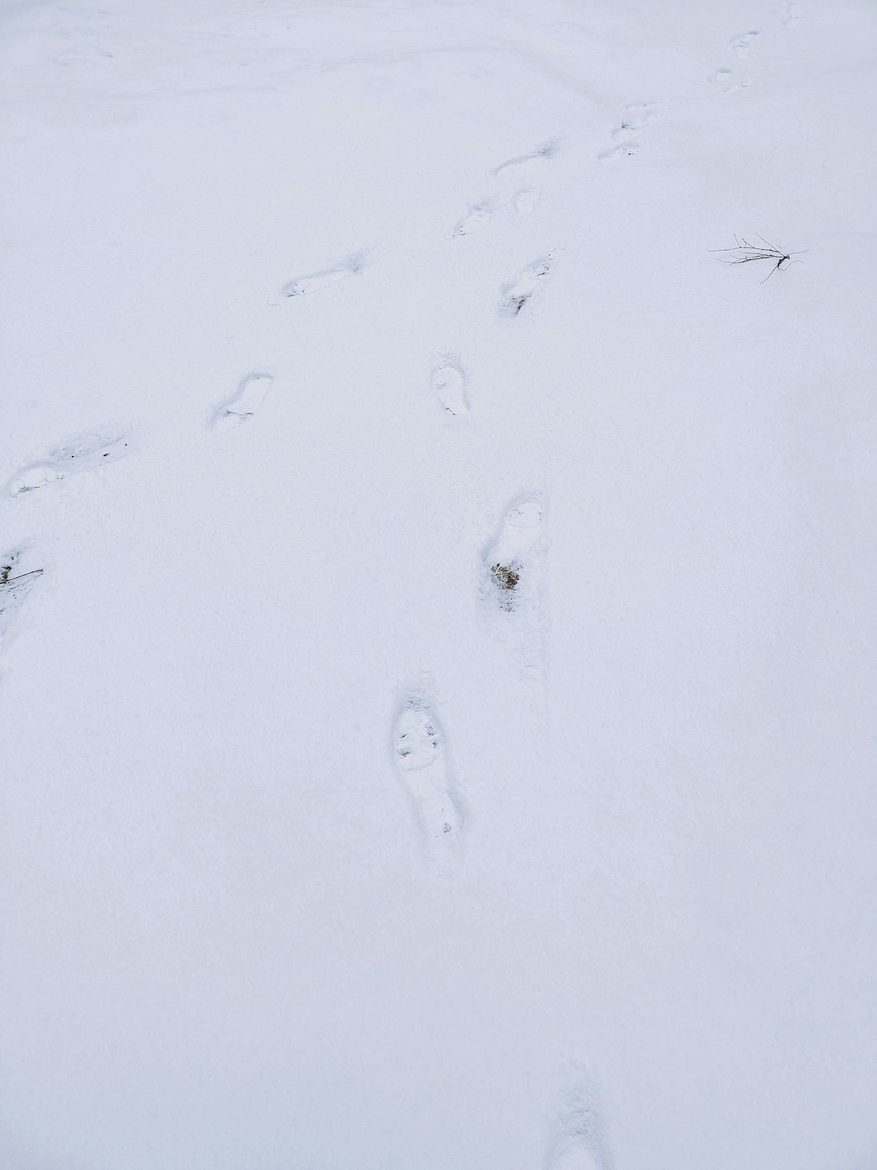 《冬日雪迹》-手机摄影