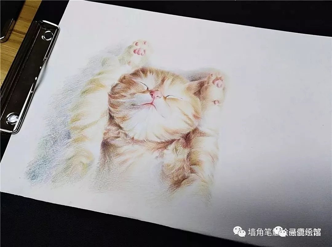 【彩铅教程】吃饱就睡的小萌猫，好想撸（图ZMjAyMjI5Nzg0） - 绘画 - 站酷设计师墙角笔触原创素材 - 站酷ZCOOL
