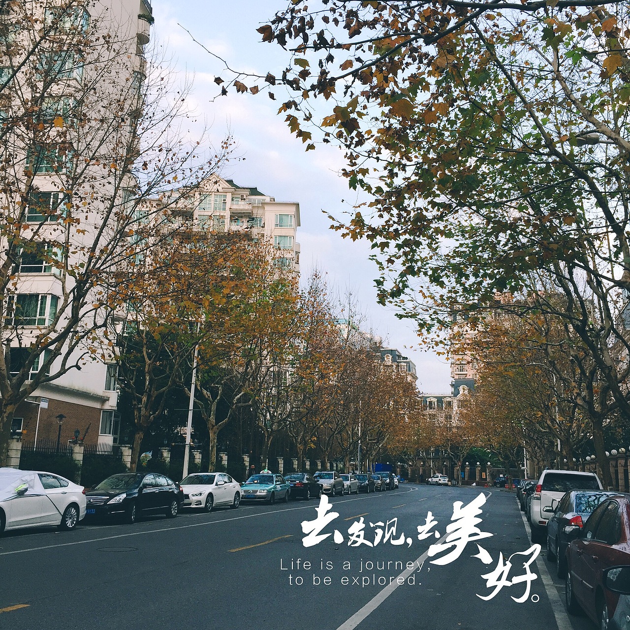 上海街巷（图ZODczMDE3NTY=） - 人文/纪实摄影 - 站酷设计师张起深原创素材 - 站酷ZCOOL