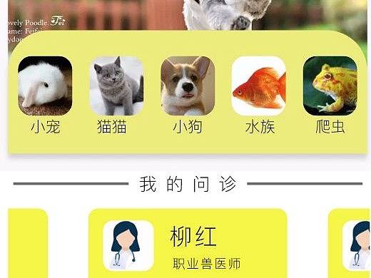 宠物医院ui（个人主页-ZNjUxNDY1Mjg=） - APP界面 - 站酷设计师悲白发留不住芳华原创素材 - 站酷ZCOOL