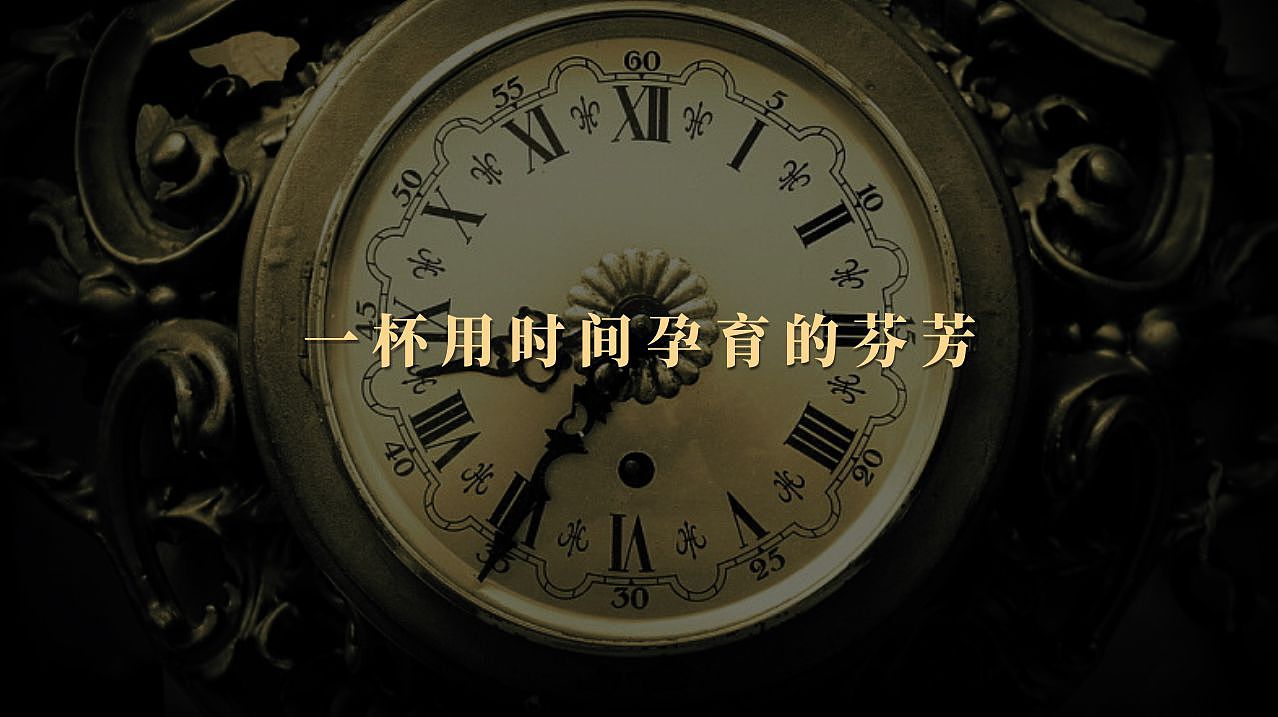 【 顺のTEA·新茶饮 】品牌视觉形象设计