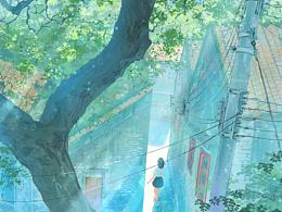 风景