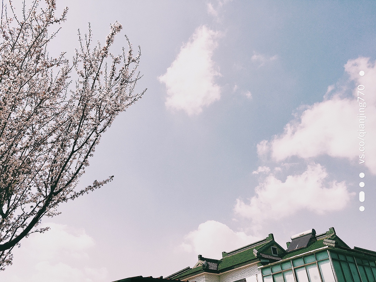 2020·要按捺住兴奋的春