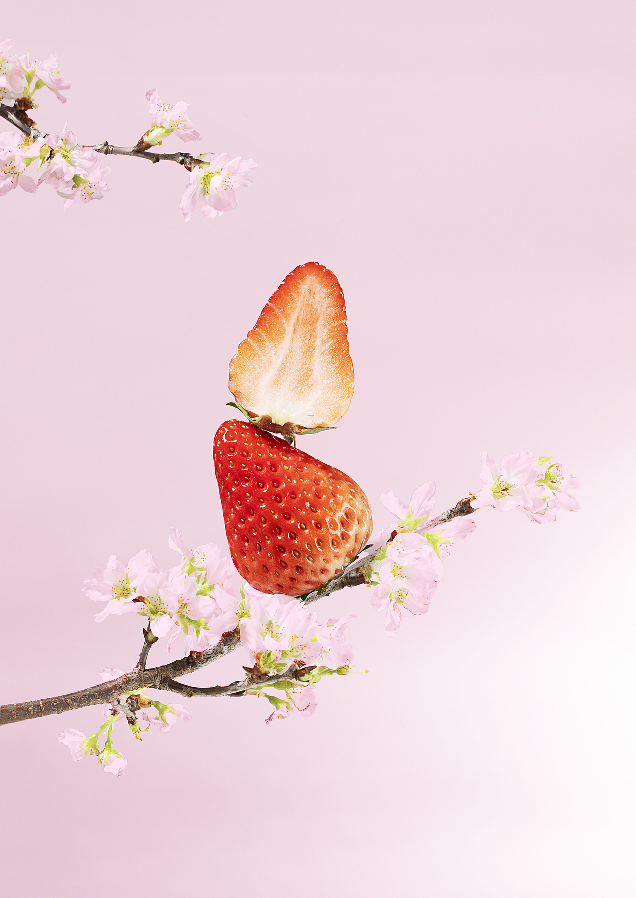 奈雪的茶｜霸气樱花生酪草莓（图ZMzM0Mjk4Njg4） - 美食摄影 - 站酷设计师摄影师有有猫在原创素材 - 站酷ZCOOL