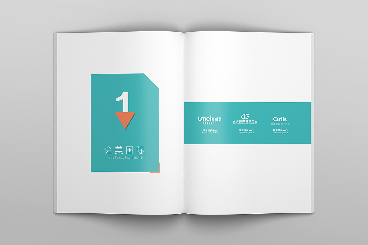 闲时整理——医美的销售手册（图ZMTcwODg2ODY4） - 书籍/画册 - 站酷设计师莫恩原创素材 - 站酷ZCOOL