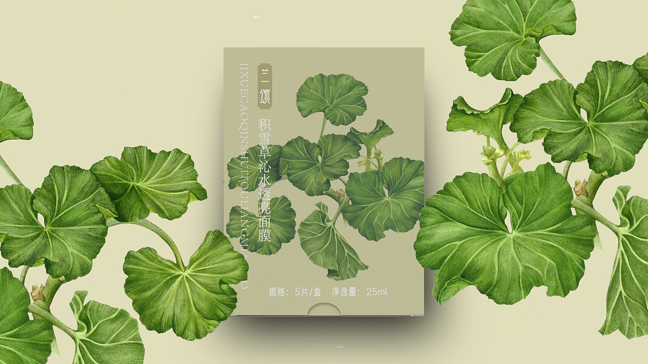植物面膜包装|平面|包装|mare马儿 - 原创作品 - 站酷 (zcool)