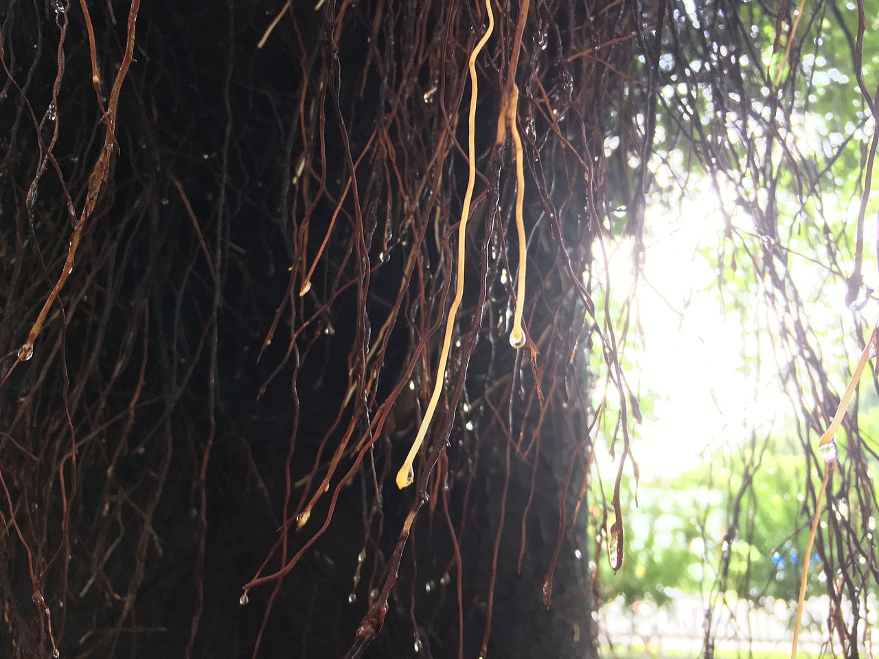 有趣的美好的一瞬间—手机摄影