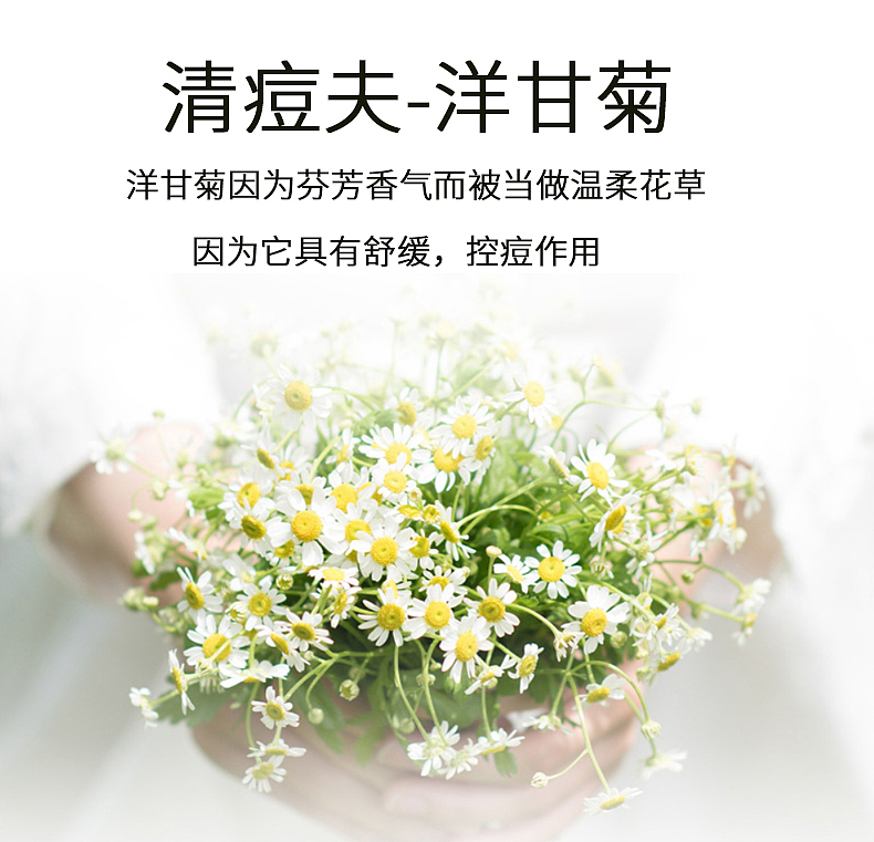 洋甘菊祛痘膏详情