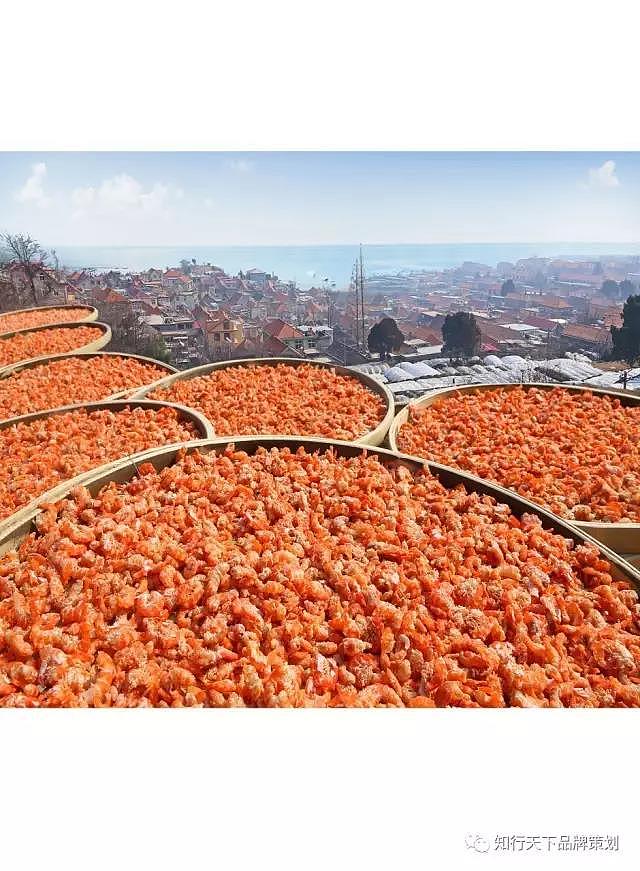 崂山三宝 一户一海米 一户一蛤 