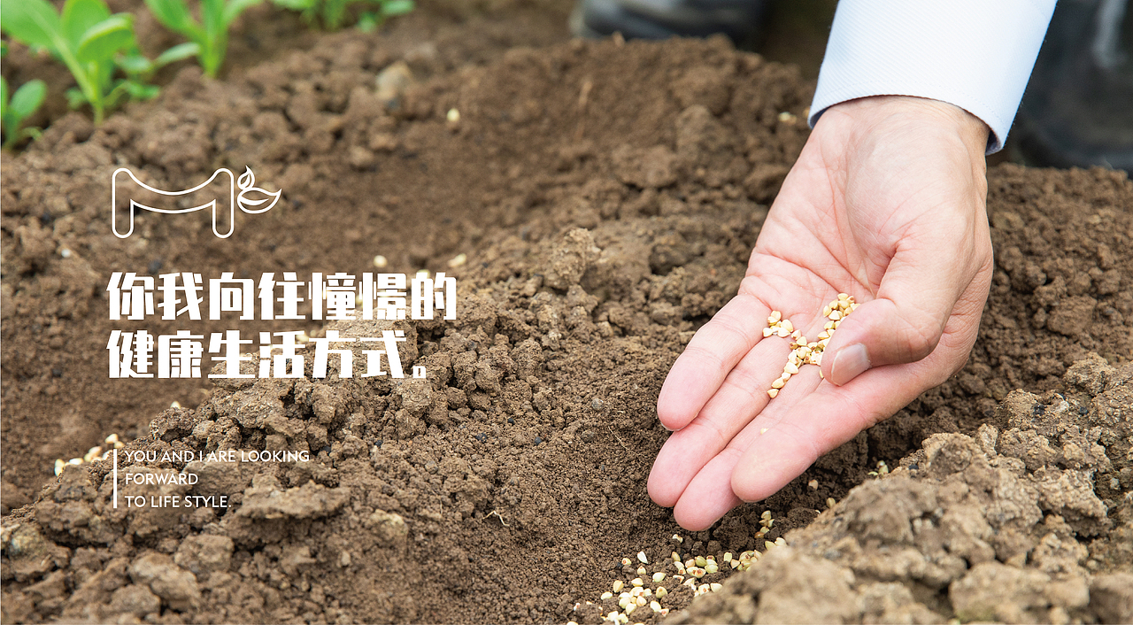 每篮美菜小程序