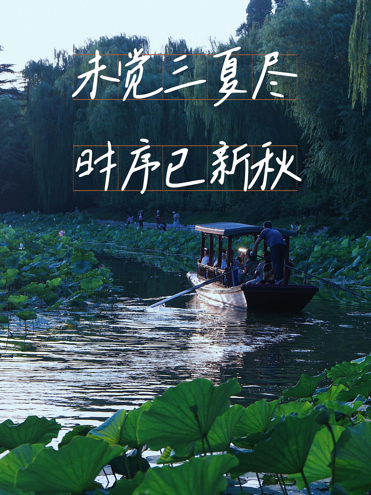 五台山泉打卡竹荷文化季