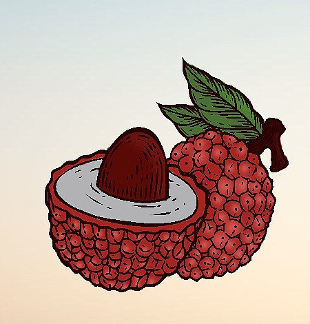 发个荔枝（图ZMTEzNTExNzA0） - 新锐潮流插画 - 站酷设计师有风季节原创素材 - 站酷ZCOOL