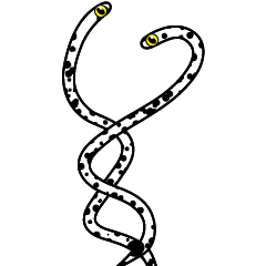 微信表情 GardenEel 花园鳗say英文