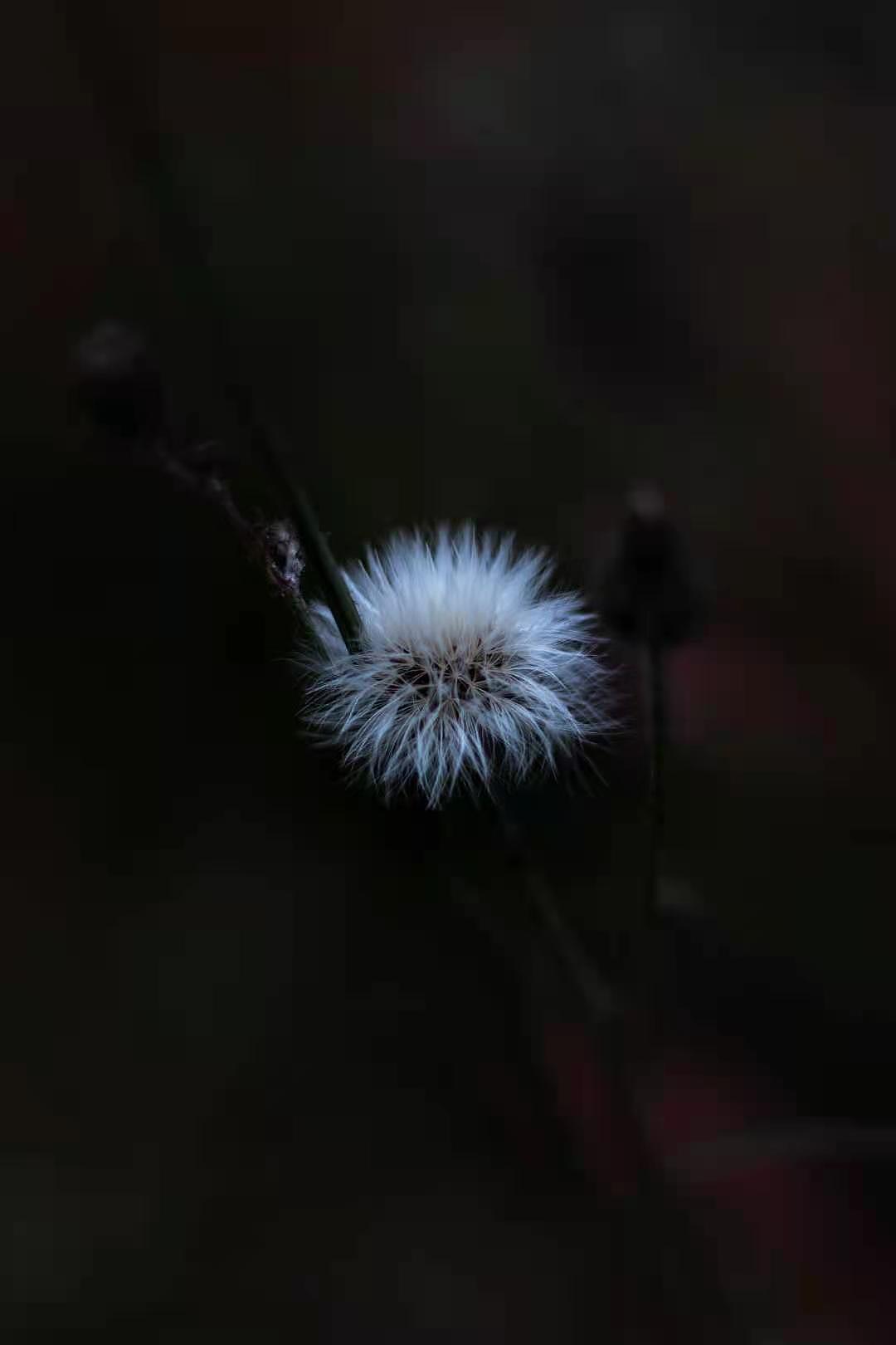 随拍（图ZMjM4NjU1OTcy） - 风光摄影 - 站酷设计师请你吃雪糕原创素材 - 站酷ZCOOL