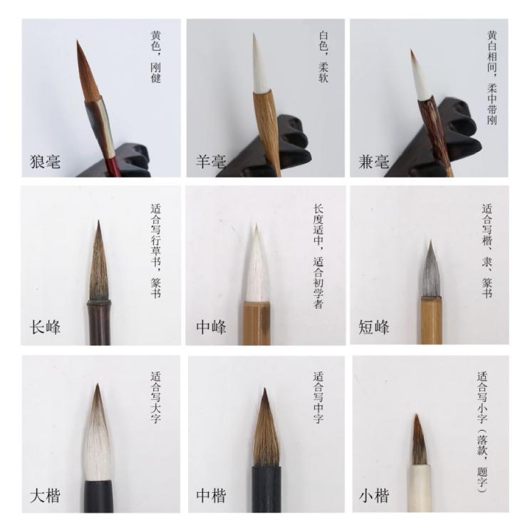 附上毛笔图鉴用以区分