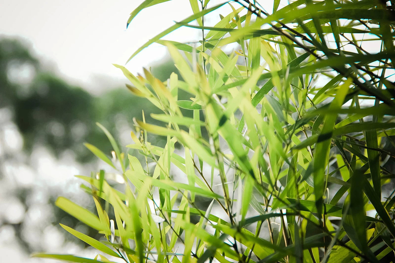 上一年元旦在珠海玩耍的时候拍的~