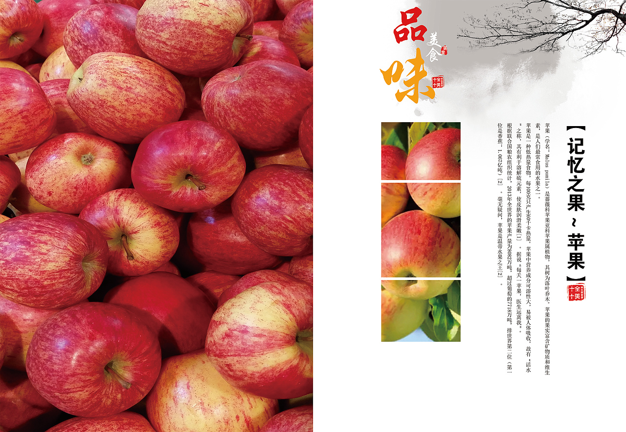 新鲜果蔬画册（图ZMTU5NDE0MDI4） - 书籍/画册 - 站酷设计师梧高花香原创素材 - 站酷ZCOOL