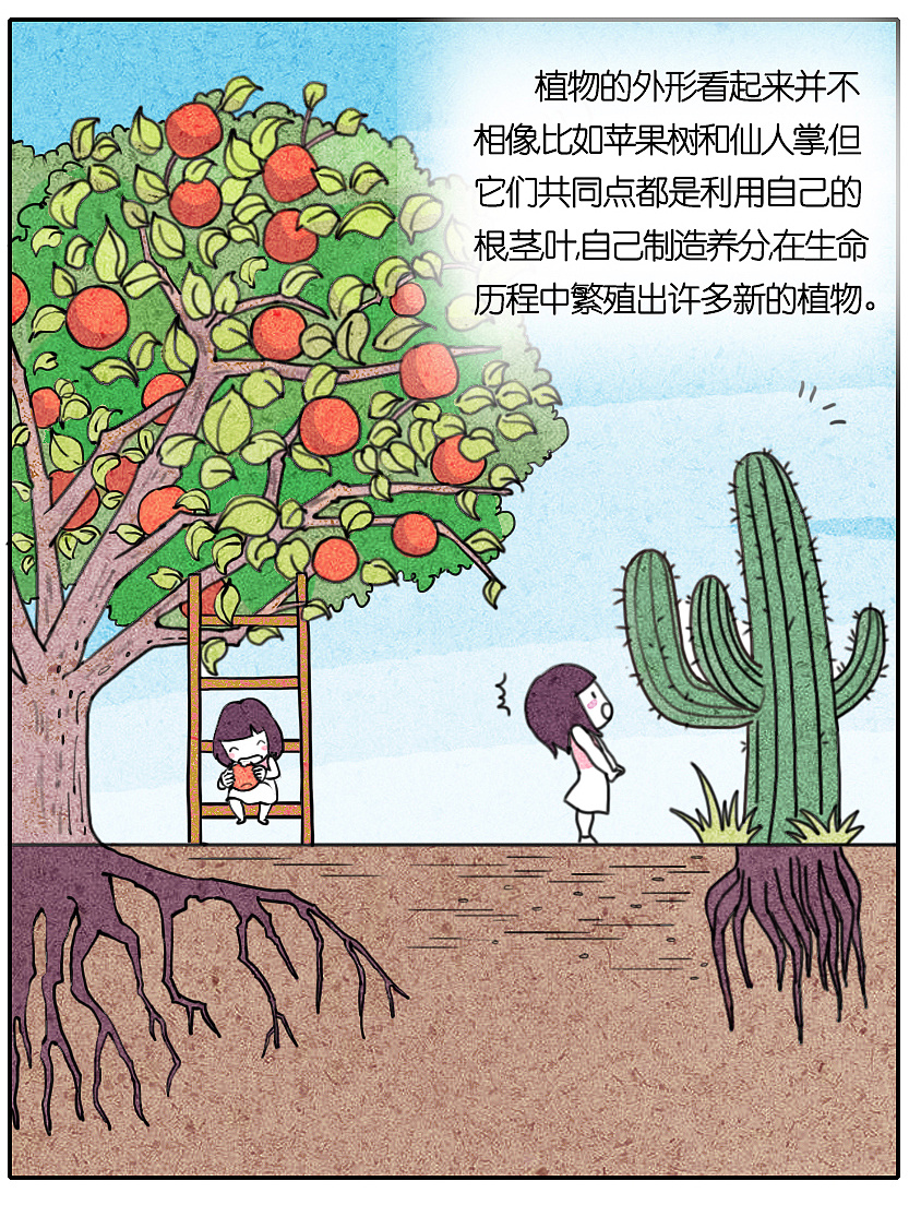 科普插图|插画|商业插画|喜舍菀菀 - 原创作品 - 站酷 (zcool)