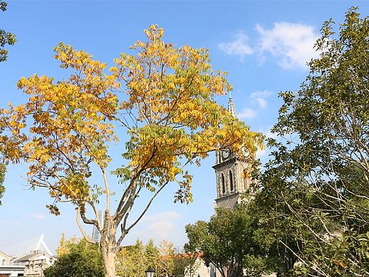 天朗气爽,心生明媚宁波老外滩随拍