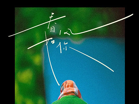 手写字合集-春风如你