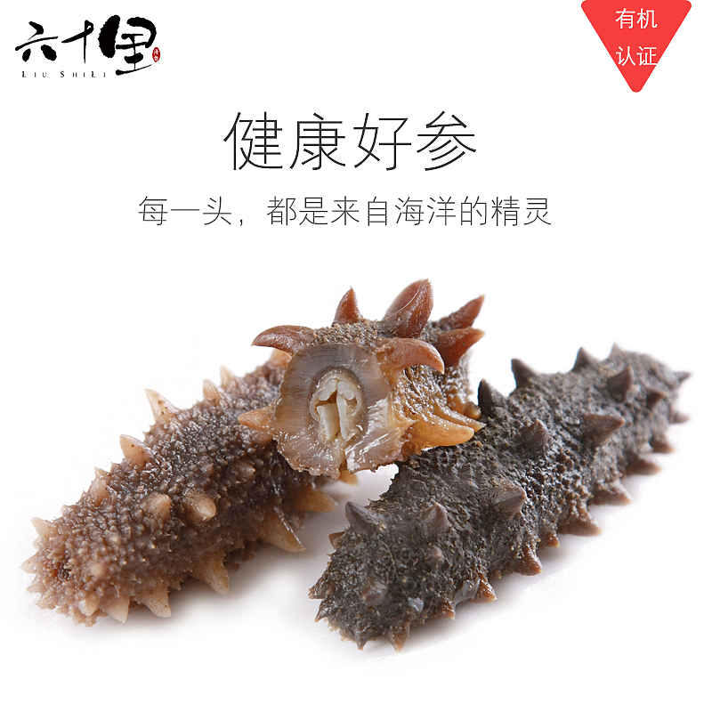 海参主图（图ZODc0MjAyMDQ=） - 宣传物料 - 站酷设计师周啊周啊周宝可梦原创素材 - 站酷ZCOOL