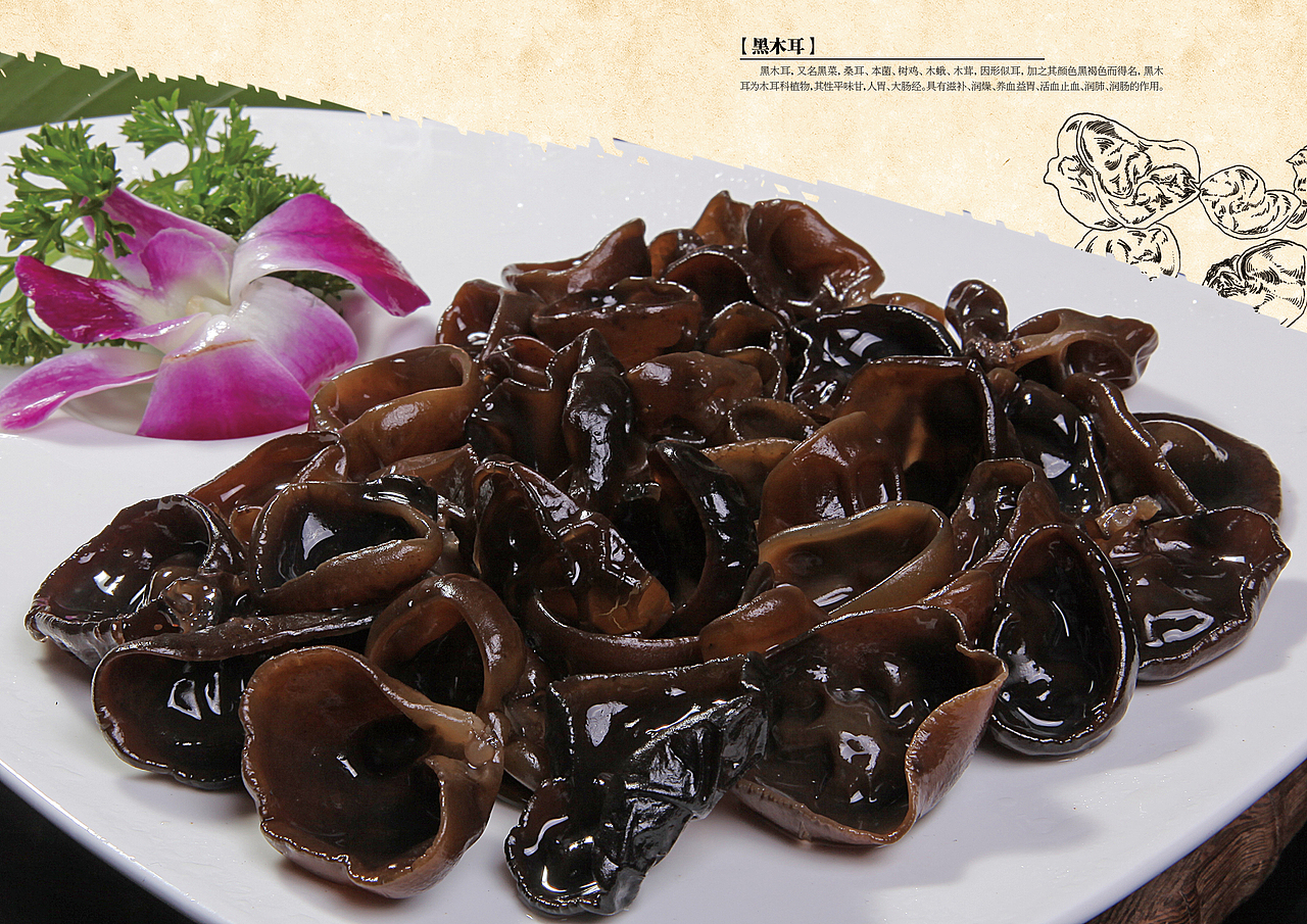 毕业设计-三江水企业宣传册