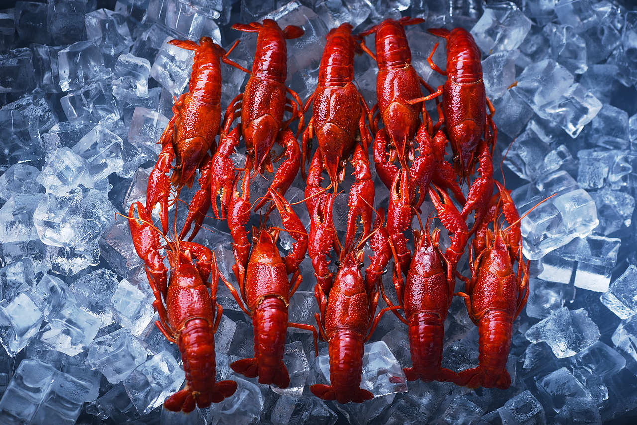 餐厅菜谱拍摄（图ZMjY4MDk0Mzk2） - 图案 - 站酷设计师Seanwu2020原创素材 - 站酷ZCOOL