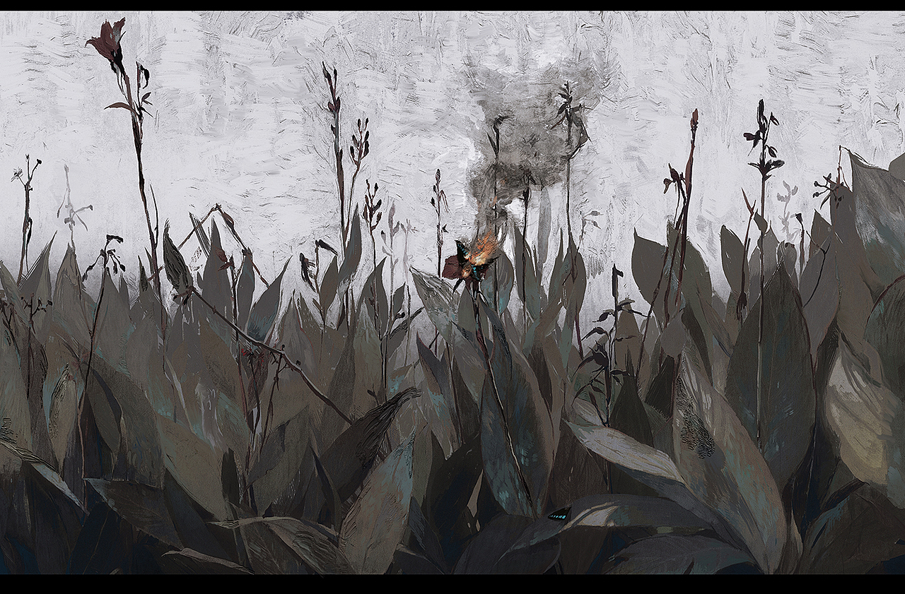 森林有一场大雨