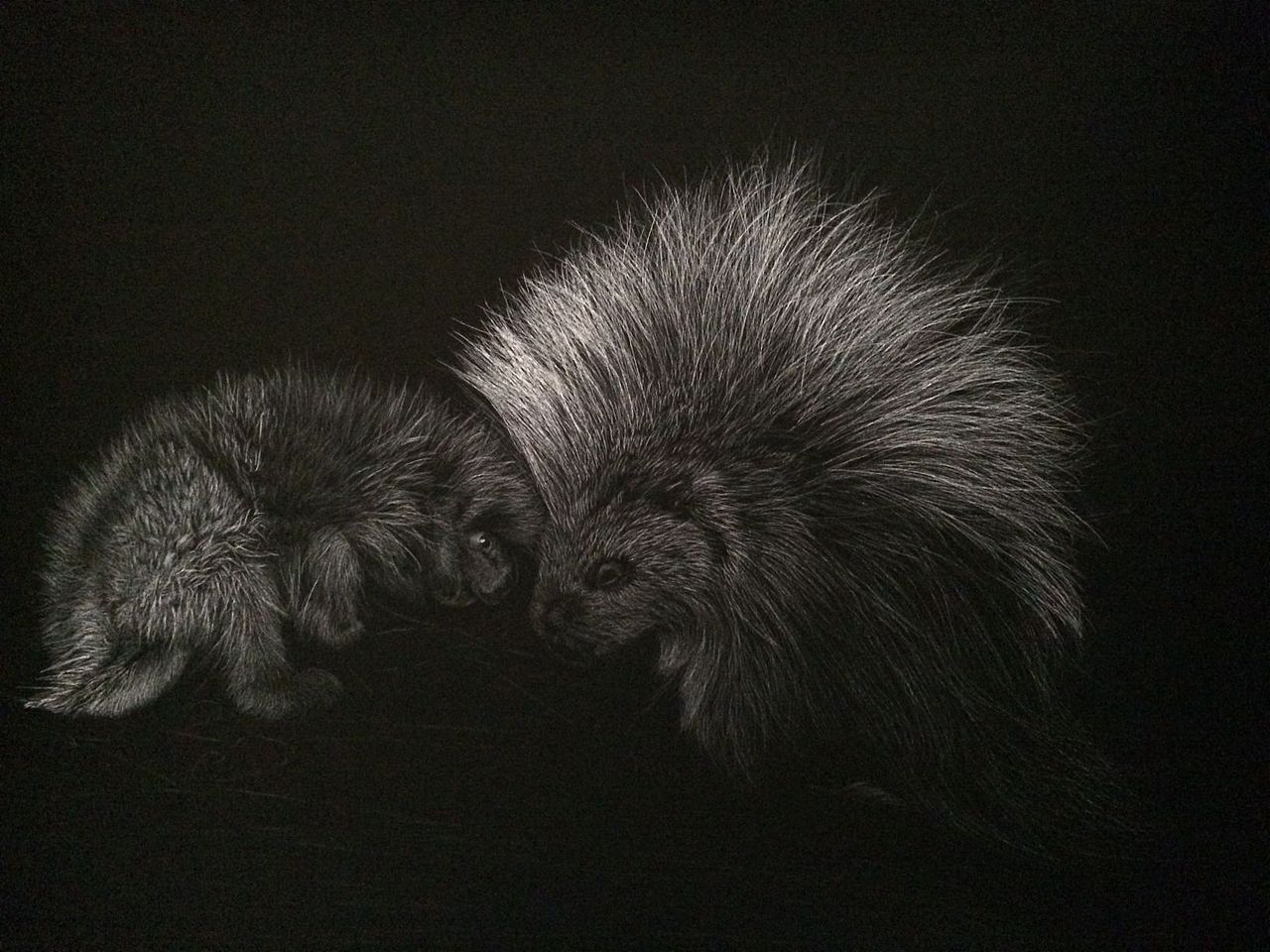 李子哥动物亲子系列刮画《遇见》（图ZMzU2MDU4MzA4） - 绘画 - 站酷设计师李子哥原创素材 - 站酷ZCOOL
