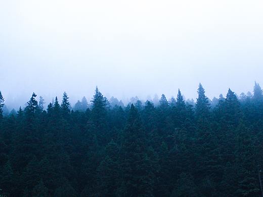 旅行的印记——黄龙、九寨