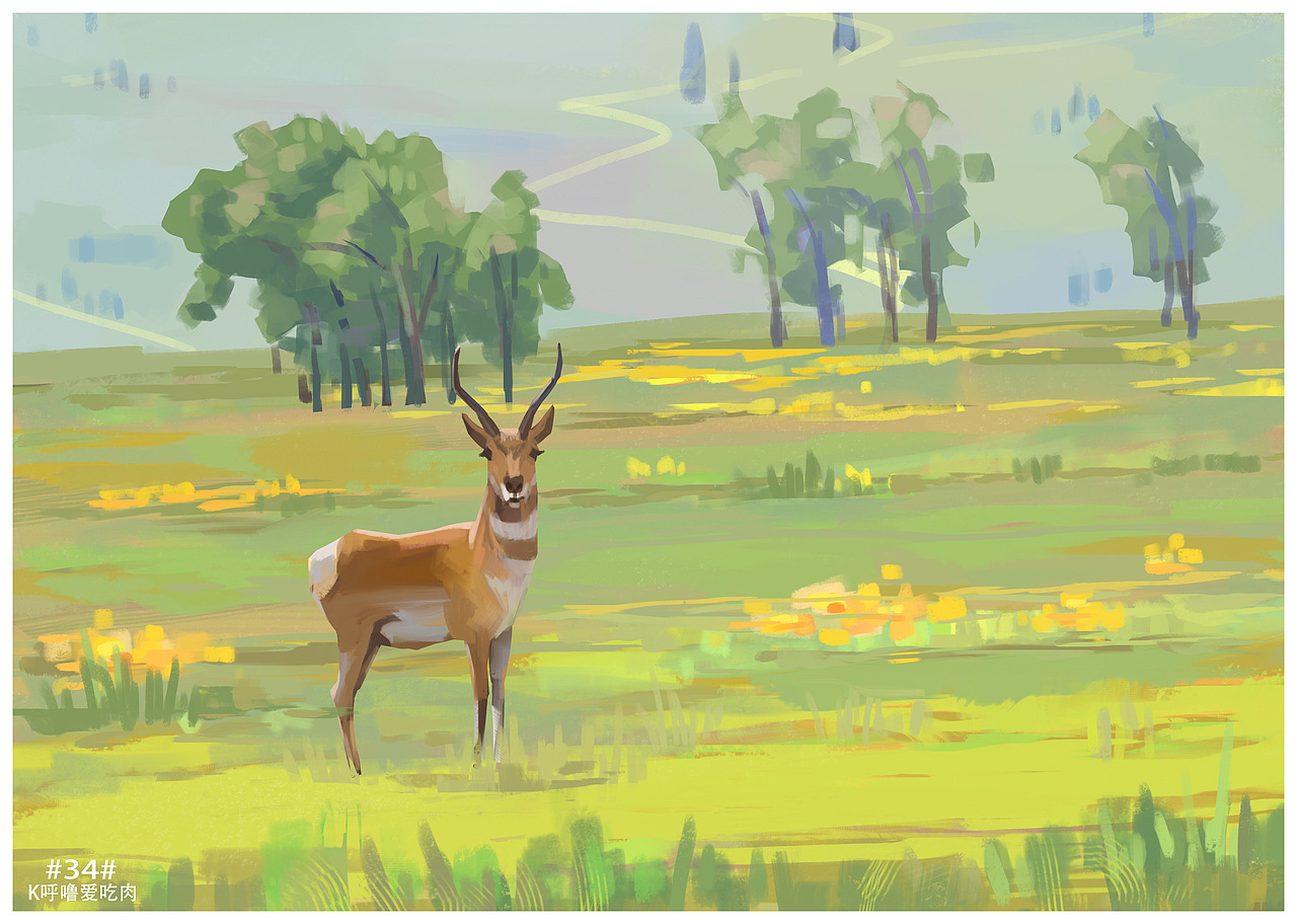 每日速涂小练习