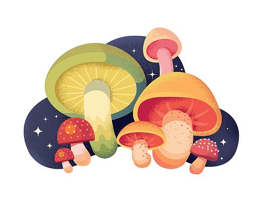 简单的插画练习