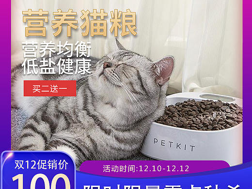 猫粮主图（个人主页-ZNDUyMDA3NzI=） - 电商 - 站酷设计师不会跳水的猫原创素材 - 站酷ZCOOL