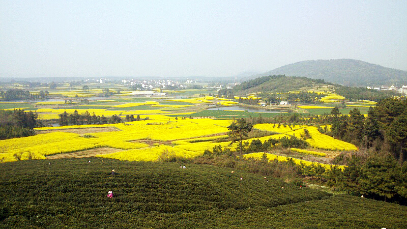 家乡美-----慢城的某一角（图ZMTY2Nzk0MTY=） - 风光摄影 - 站酷设计师zhangping_3636原创素材 - 站酷ZCOOL