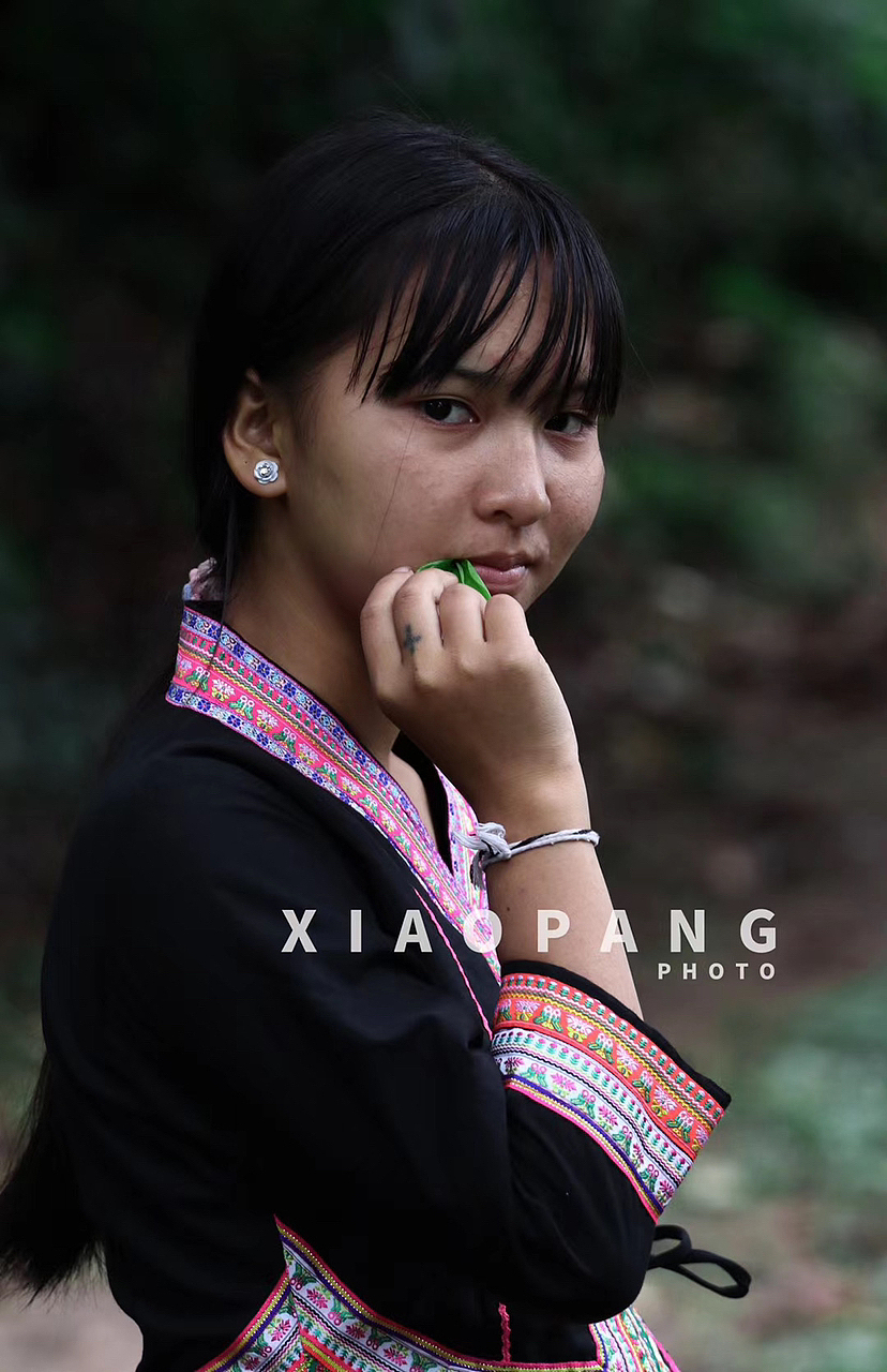 西双版纳|拉祜族采茶|春茶人文纪实|古老民族之一