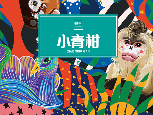 小青柑~萌动装